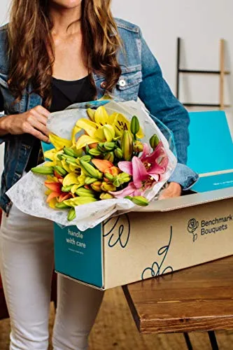 Benchmark Bouquets 12 Stem Assorted Asiatic Lilies, With Vase (Fresh Cut Flowers)