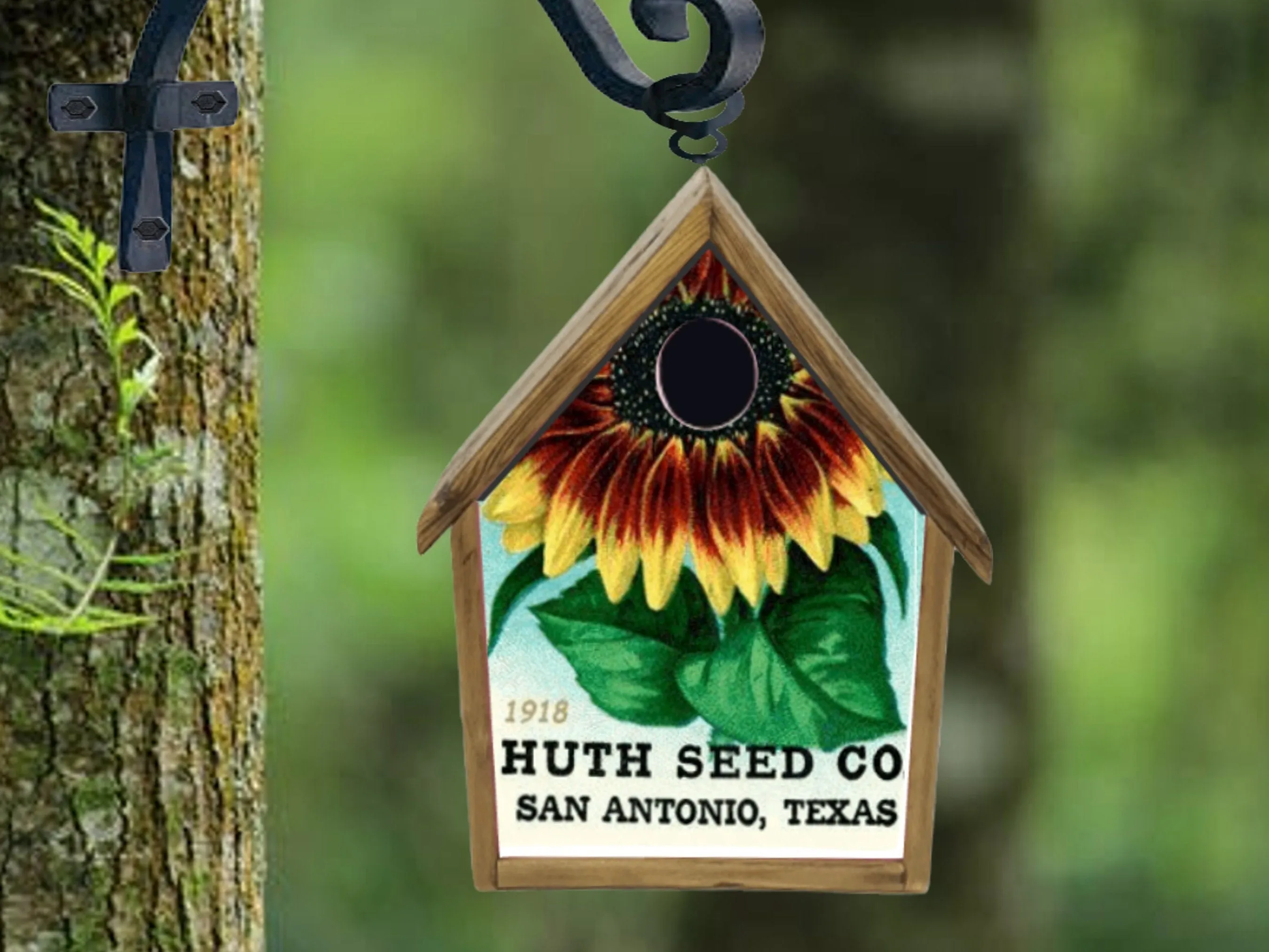 Cartoon Birdhouse Bird House Handmade Custom Design Old Joe Crow