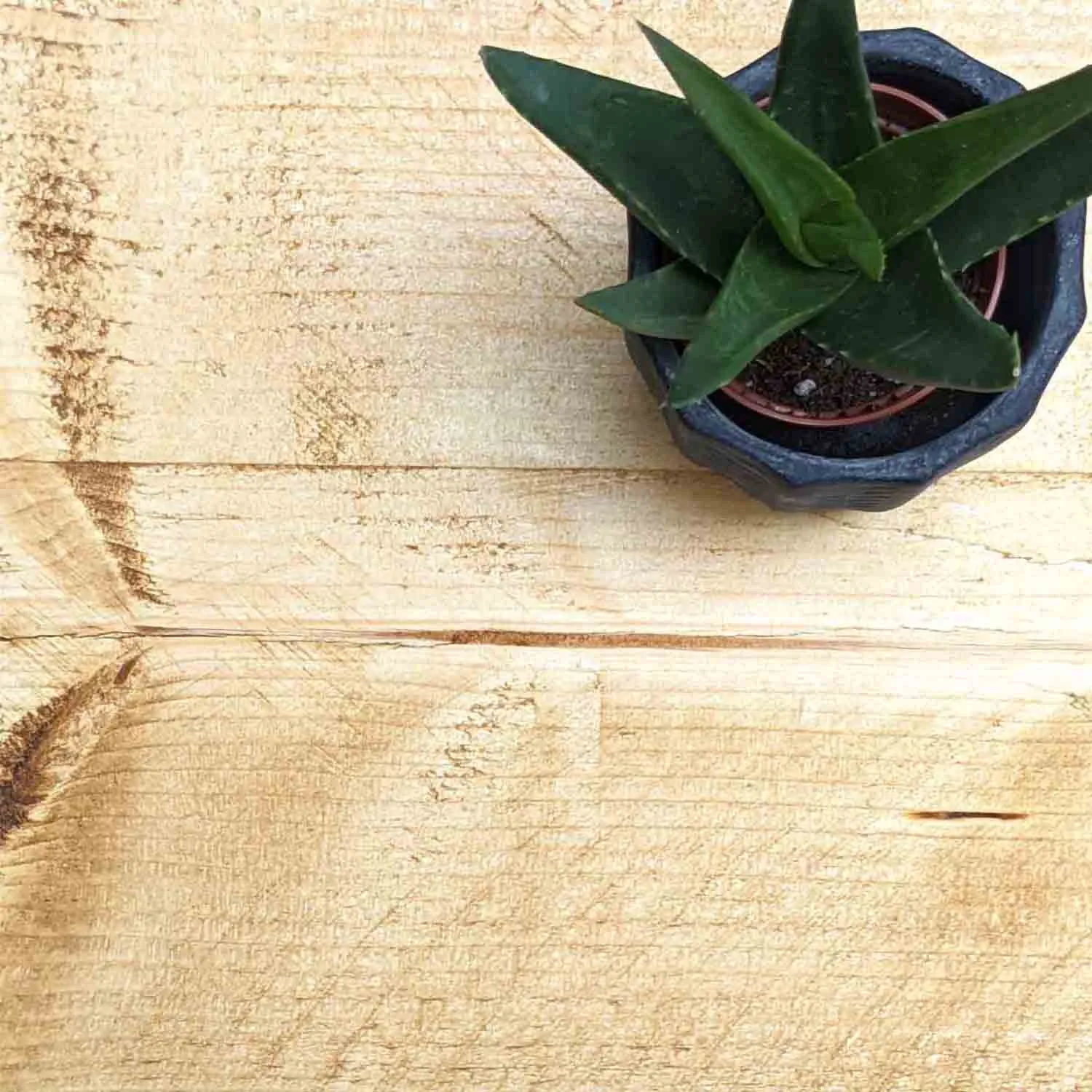 Contemporary Floating Shelf - Thin | 22cm Depth