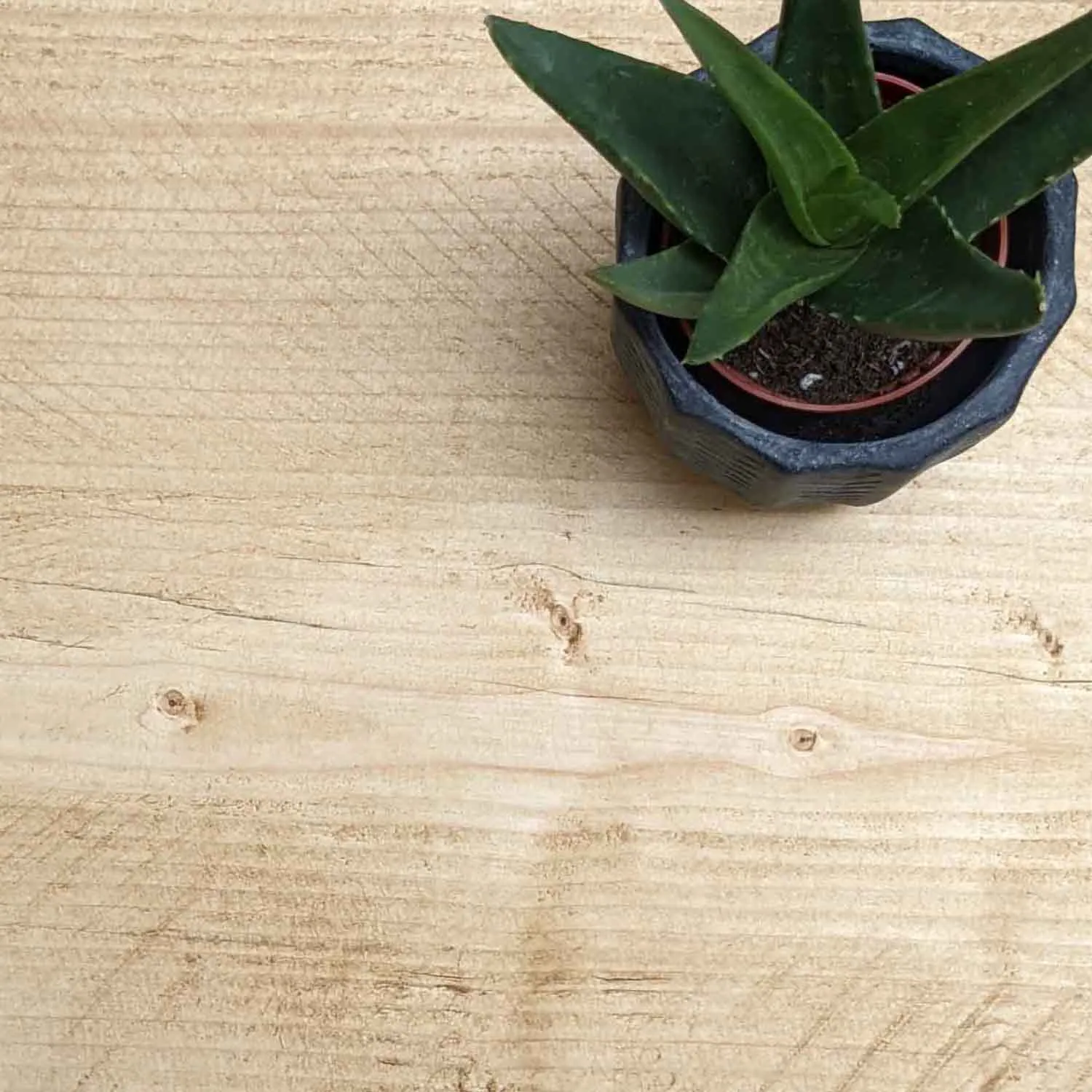 Contemporary Floating Shelf - Thin | 22cm Depth