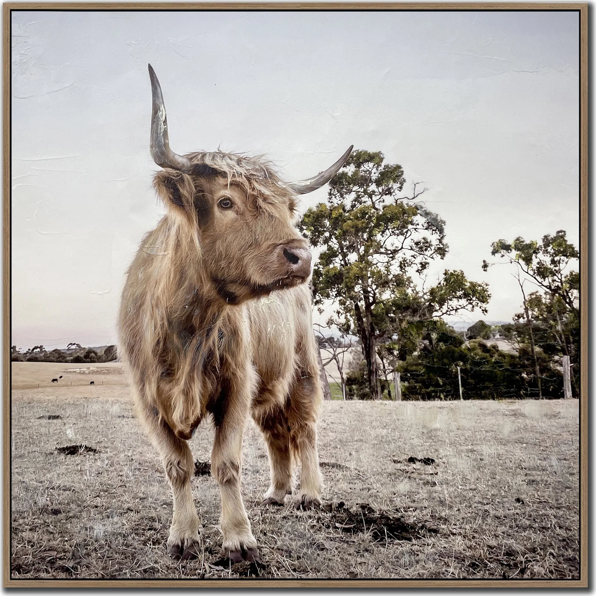 Countryside Highland Wall Art 31.00" x 31.00"