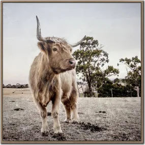 Countryside Highland Wall Art 31.00" x 31.00"