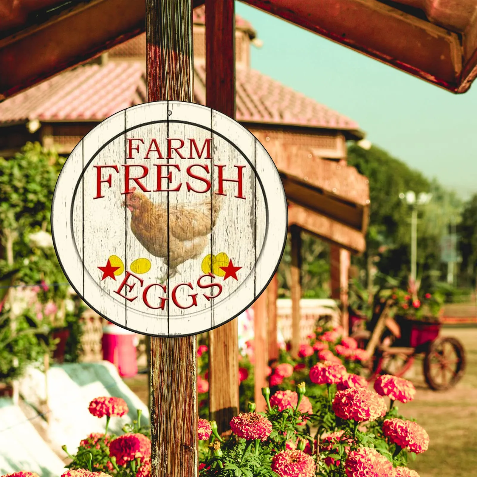 Farm Fresh Eggs Farmhouse and Garden Chicken Metal Circular 12" Sign