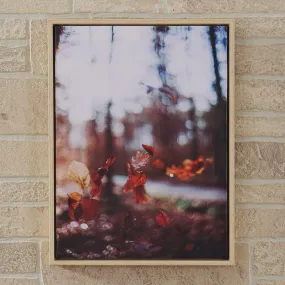 Floating Leaves Framed Canvas Print