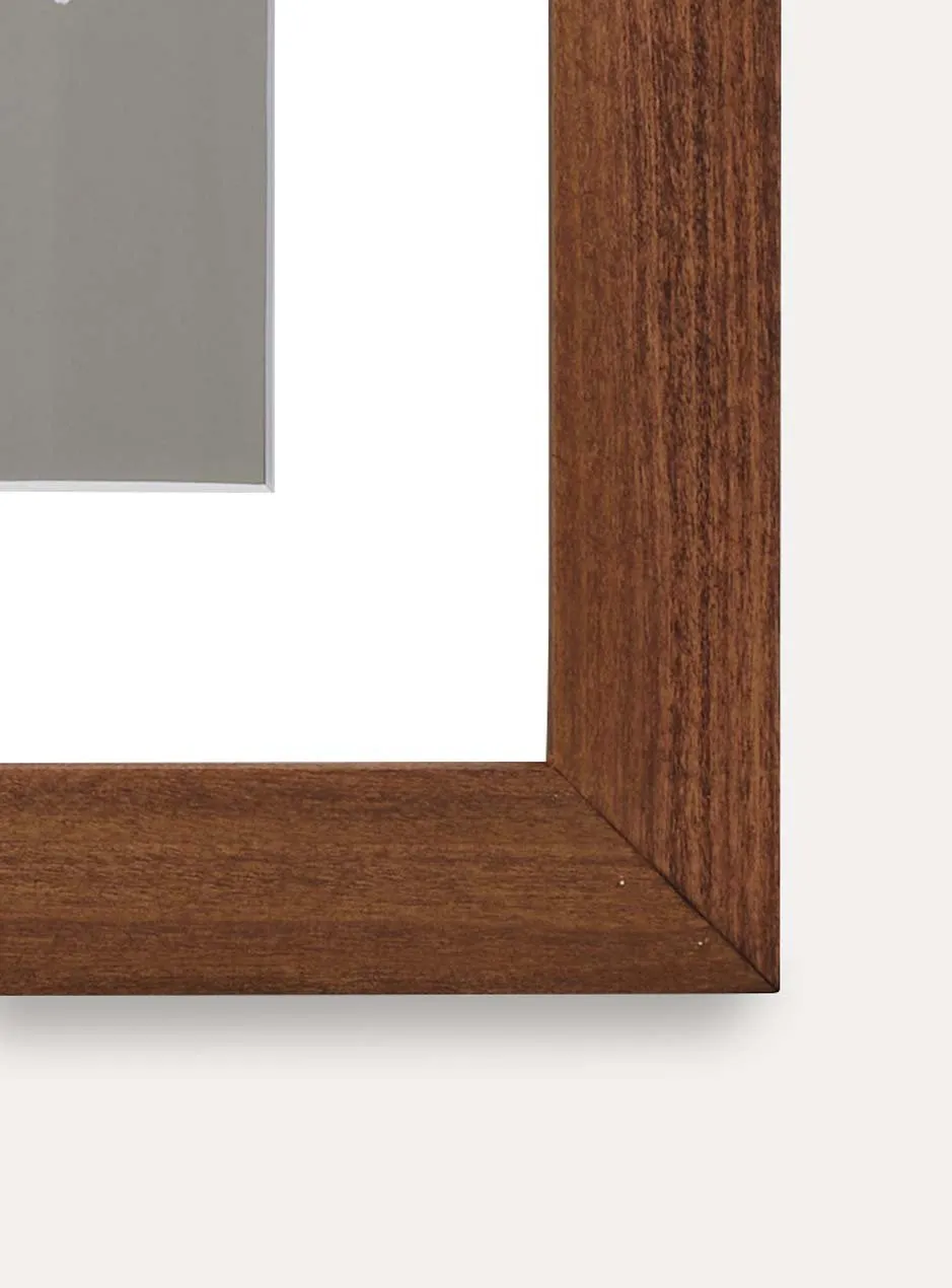 MBM 1.5 Inch Poplar