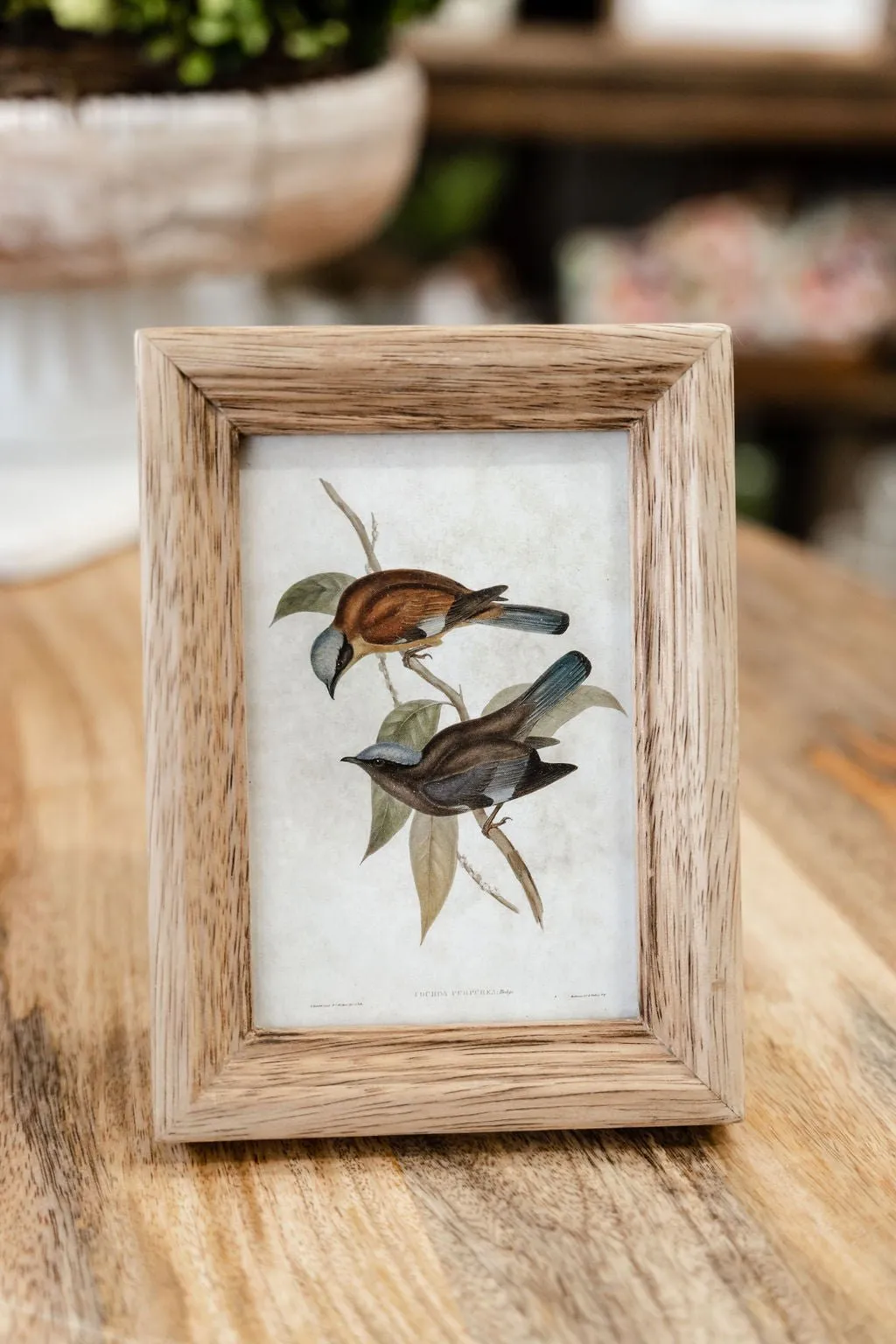 Natural Wood Frame