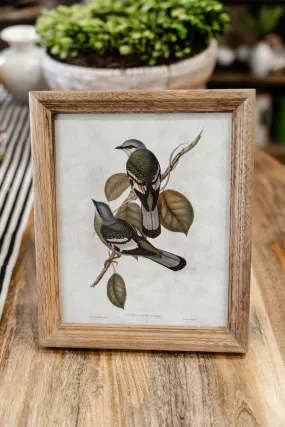 Natural Wood Frame