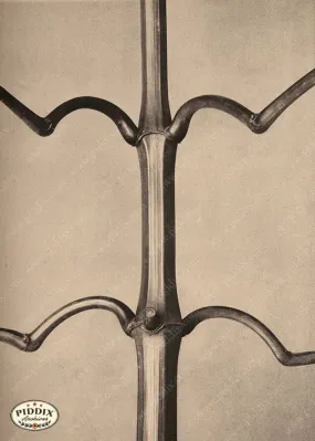 PDXC20184 -- Macro Sepia Tree Branch