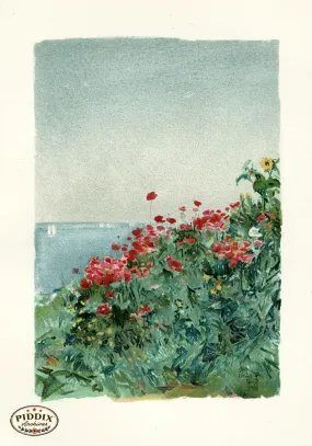 PDXC20312 -- Red and Yellow Flowers
