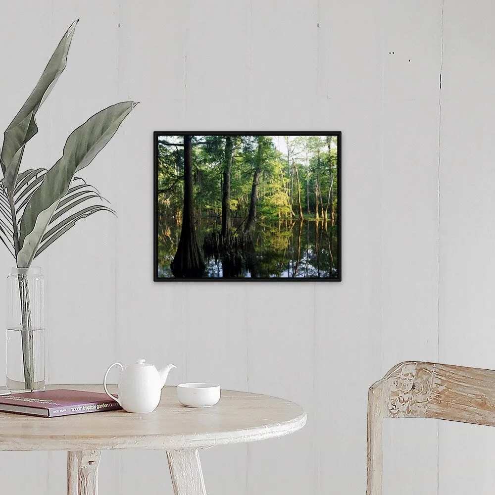 "Bald cypress trees (Taxodium distichum) in Dace Lake, Upper Pascagoula Wildli" Black Float Frame Canvas Art