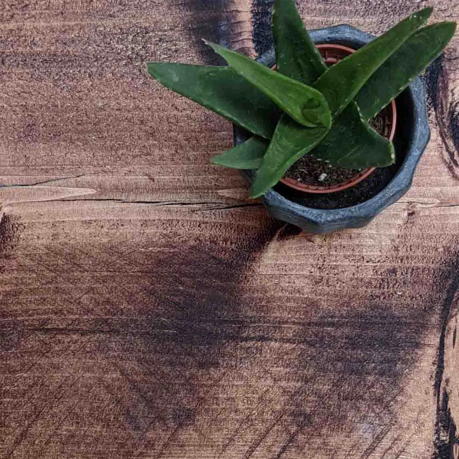Reclaimed Floating Shelf | 15cm Depth