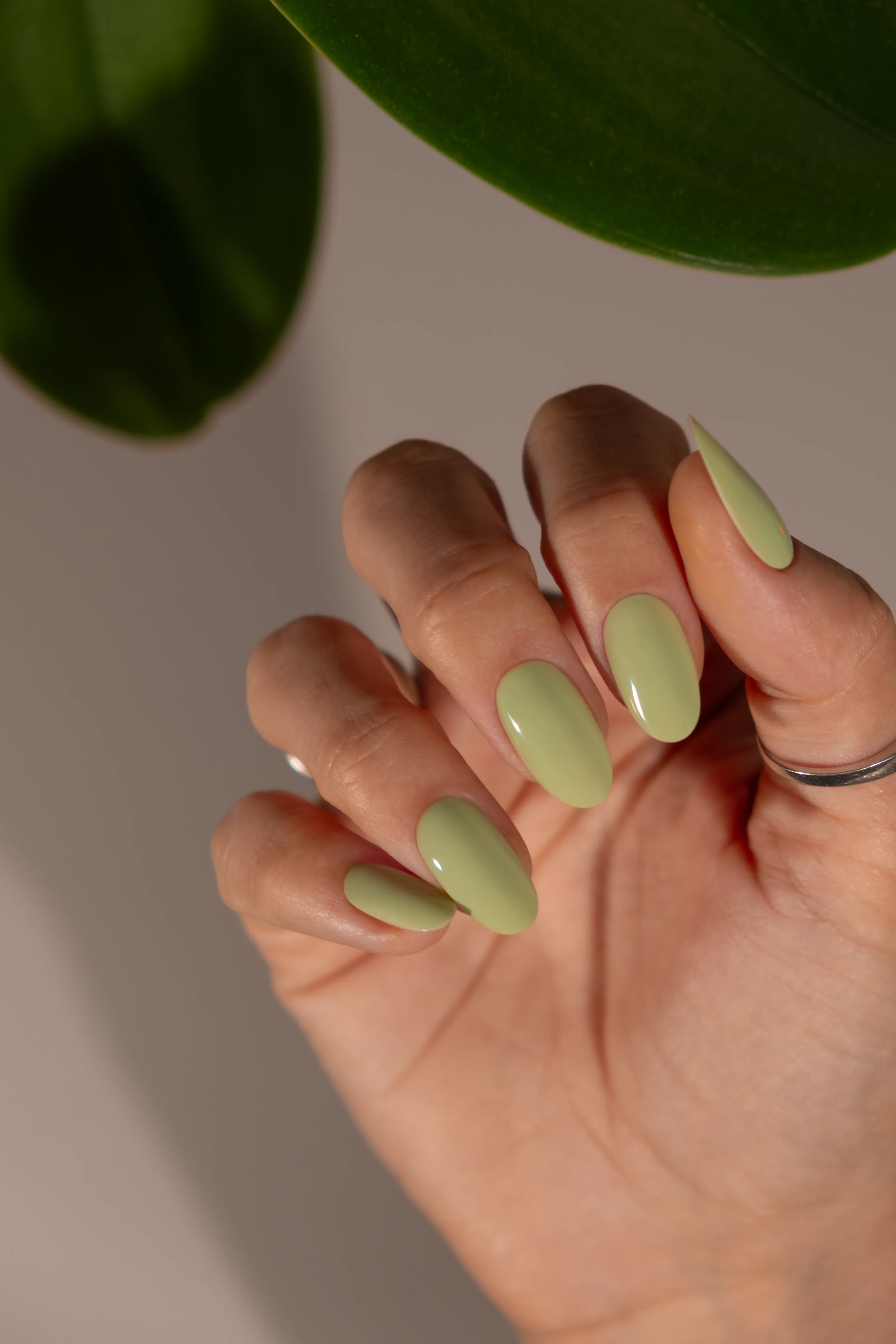 SERENE SCENERY COLLECTION - HEMA FREE