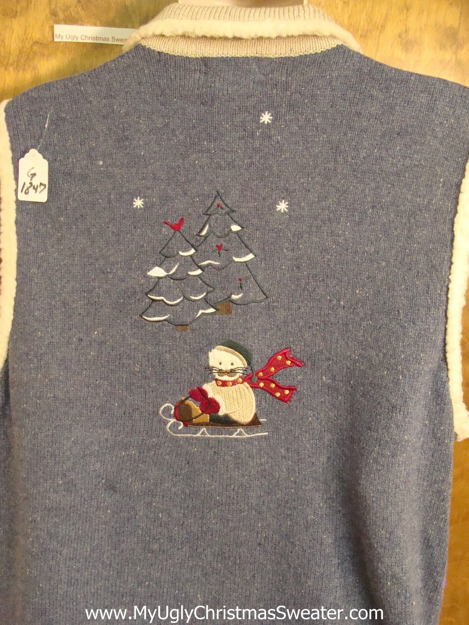 Sporty Cats 2sided Cute Christmas Sweater Vest with Lights