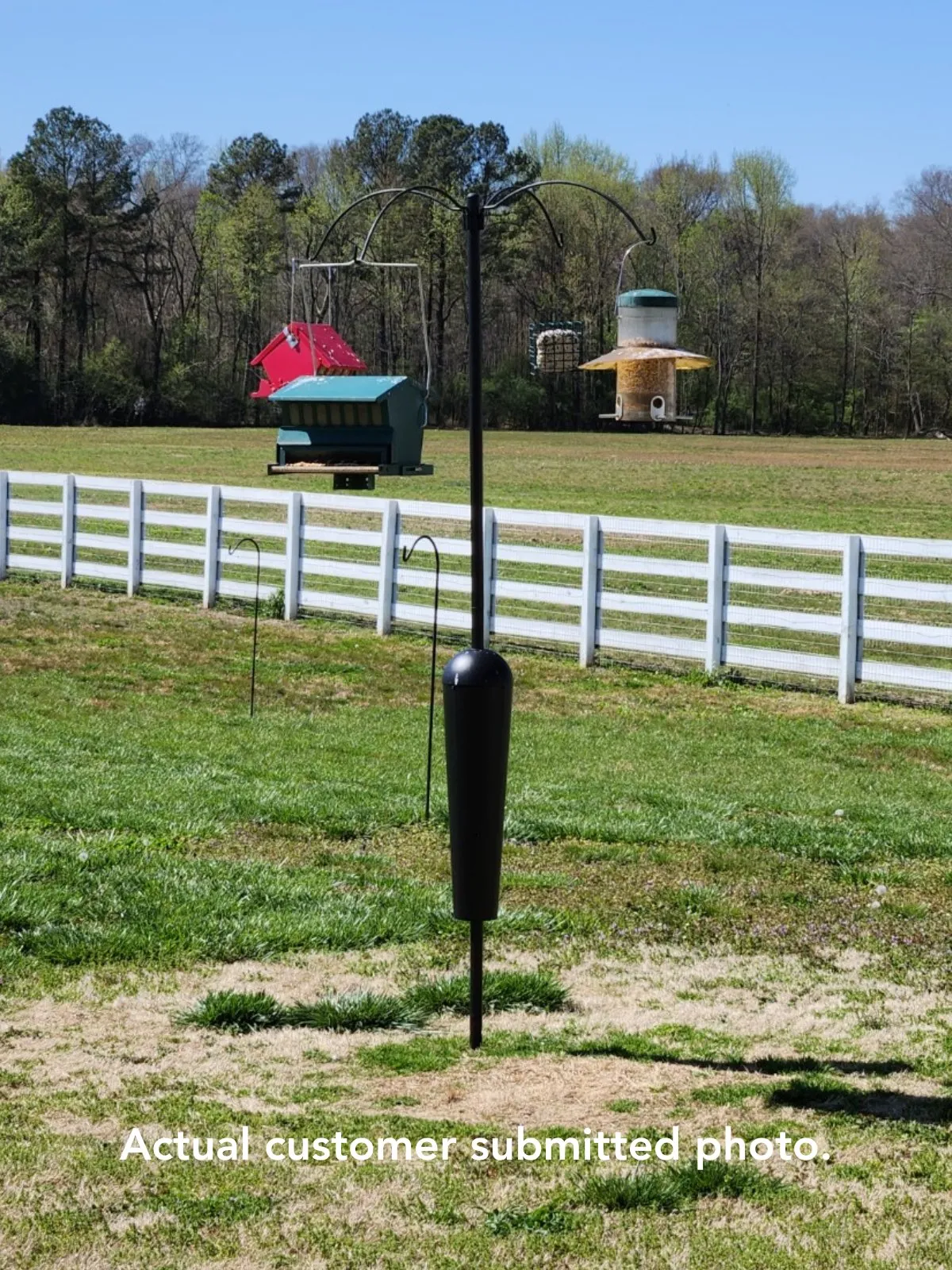 Squirrel Stopper Sequoia Squirrel Proof Bird Feeder Pole System with 4 Hanging Stations