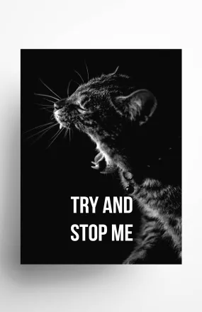 Try and Stop Me